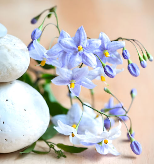 Fotolia_120593765_XS - copie_edited_edited-2.jpg