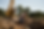 Screenshot 2026-06-11 111950.png