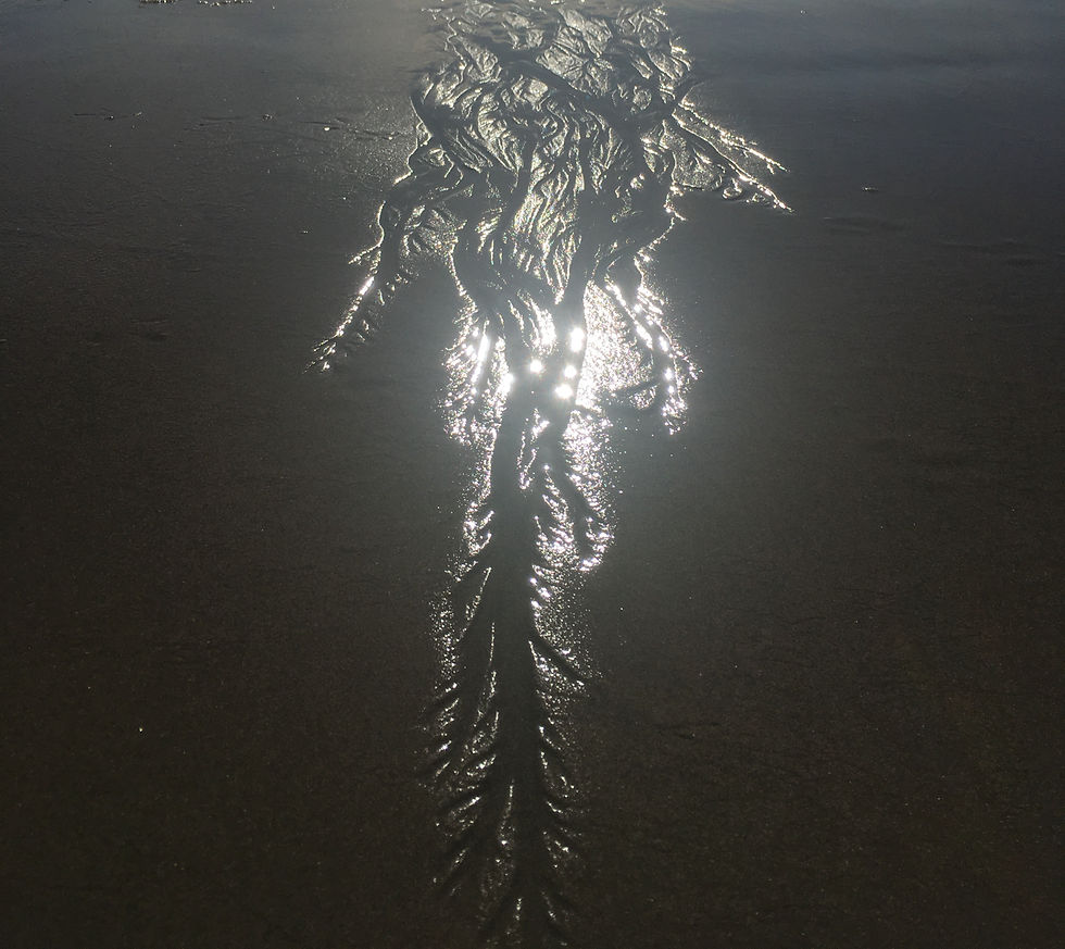 ree