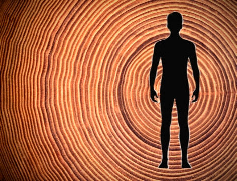 The human biofield 