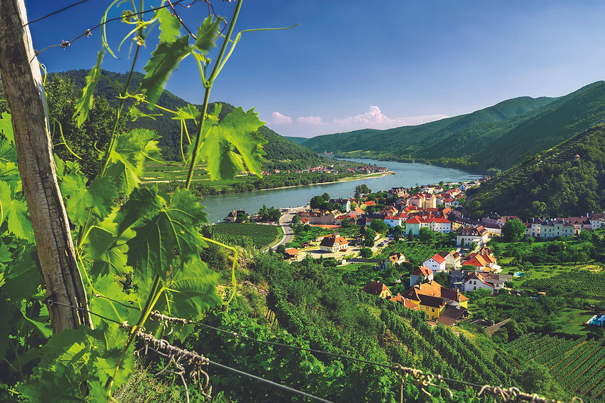 DANUBE_AT_Spitz.jpg