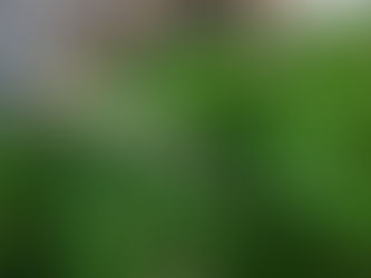 Luminaire - Crested Gecko