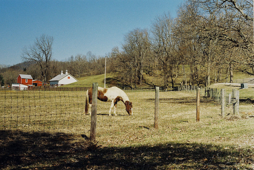 Janes2306598507-R1-03-33_VSCO 3
