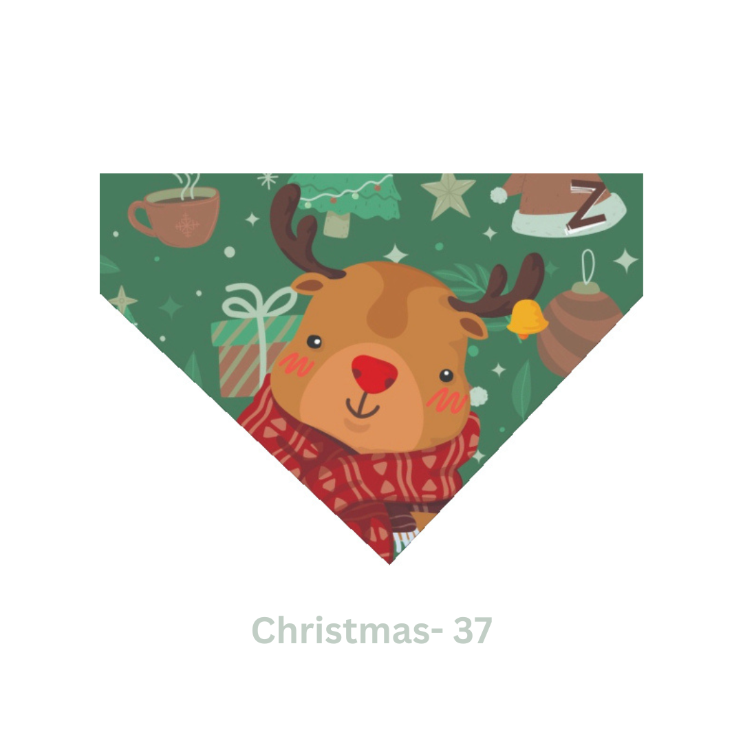 Christmas- 37 - Vault Danaz