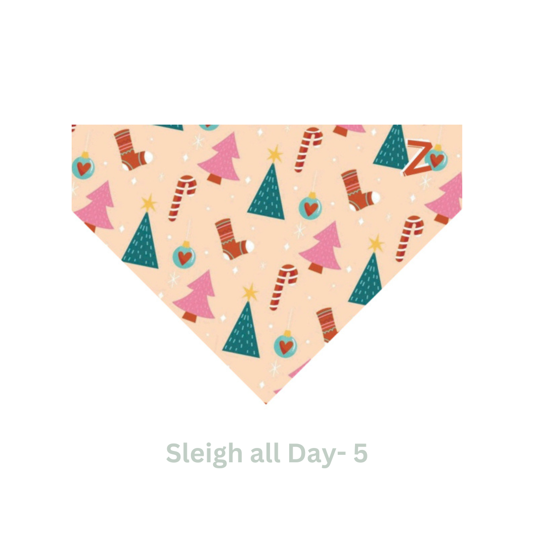 Sleigh All Day- 05- Vault Danaz