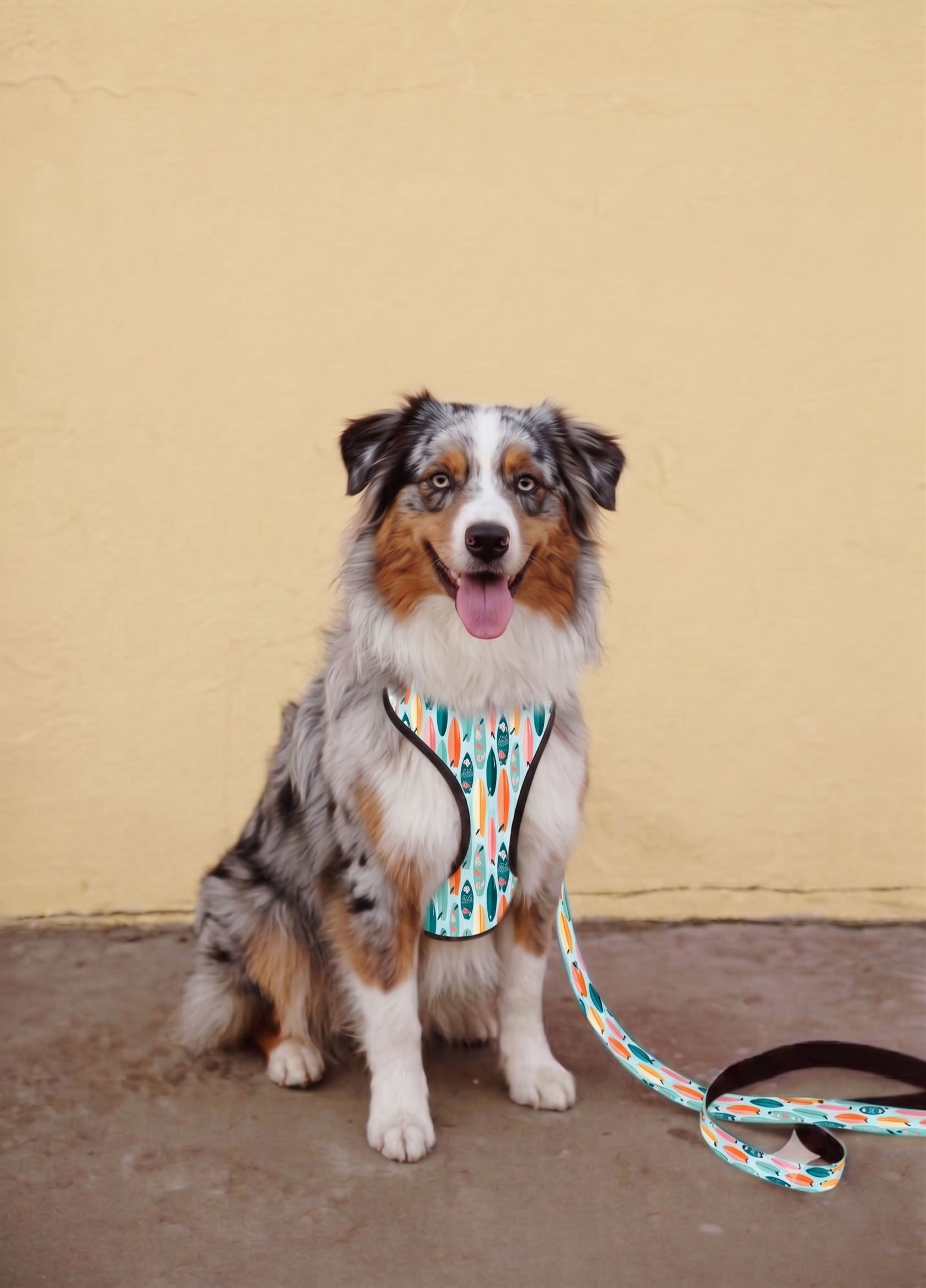 Surfboard PrintZ Harnezz Set- WalkZ Collection