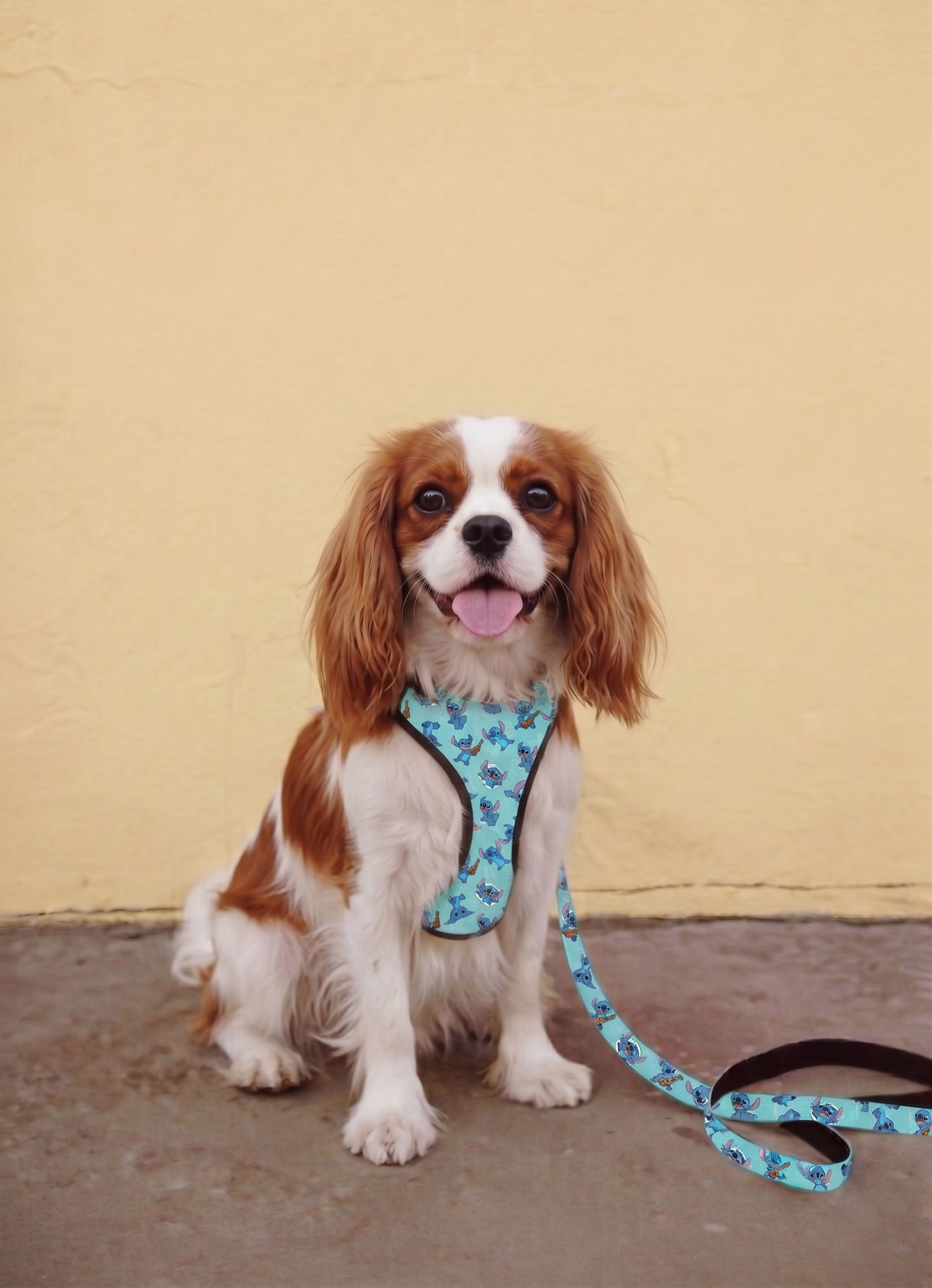 Stitch PrintZ Harnezz Set- WalkZ Collection