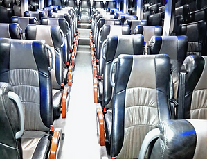 Coach photo 3_edited_edited_edited_edite