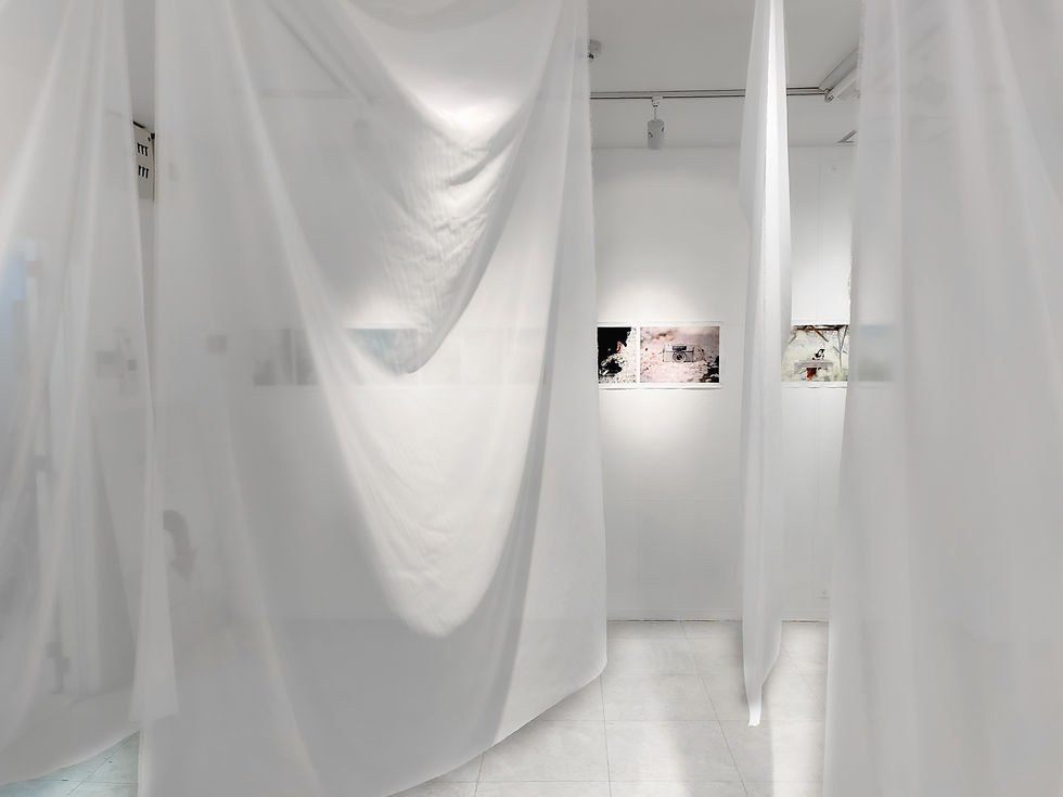 White　Room