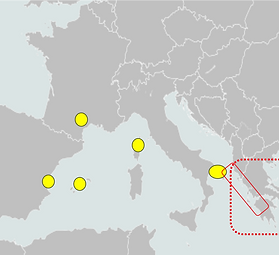map.png