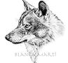 Blanca.jpg