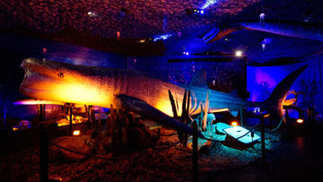 Monsters Of The Sea Exhibition