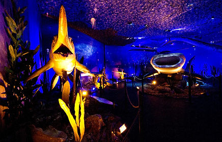 Large sea animal models above visitors at the Monsters of the Sea exhibition