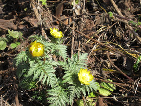 R8年度がスタートしました。