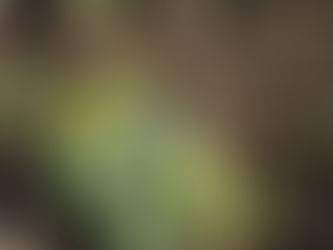 R8年度がスタートしました。