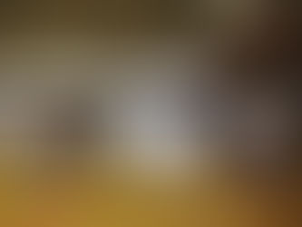 10/9(水)小谷小6年生部活動体験