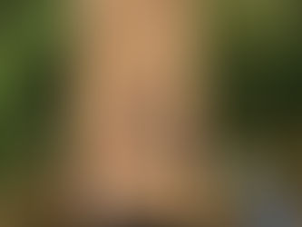 11/13(水)台湾交流3日目