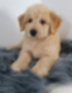 20210107_172226 (3).jpg