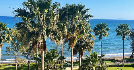Scenic Spanish coastline with clear blue waters and palm trees evoking a peaceful Mediterranean lifestyle.