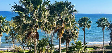Scenic Spanish coastline with clear blue waters and palm trees evoking a peaceful Mediterranean lifestyle.