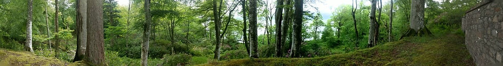 The Motte