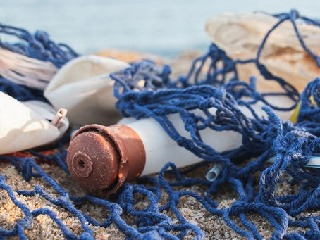 Conferencia sobre los Océanos, cambio climático, consumo de cannabis... Las noticias del lunes