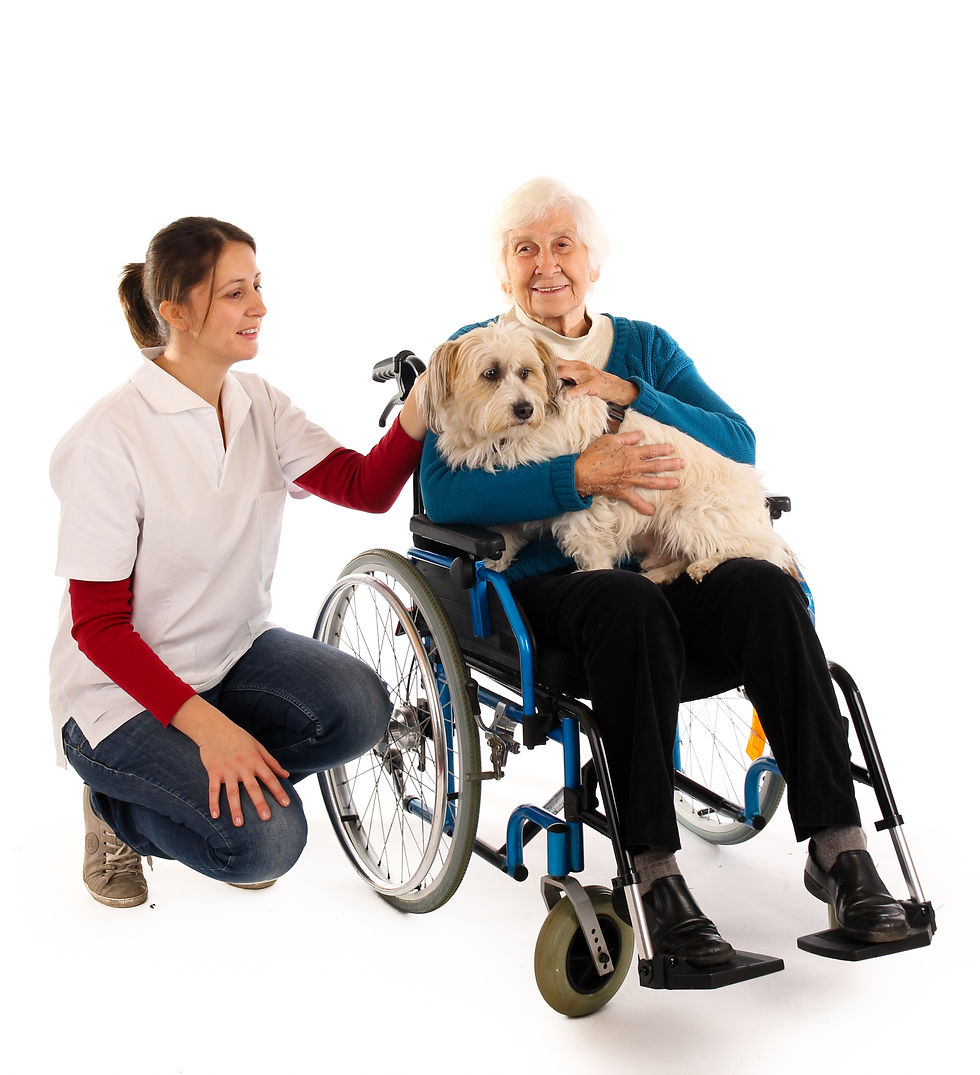 Chien_centre_santé_zoothérapie.jpeg