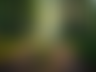 Finding Strength in Life’s Toughest Moments