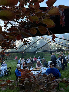 springhouse gardens tent2.jpeg