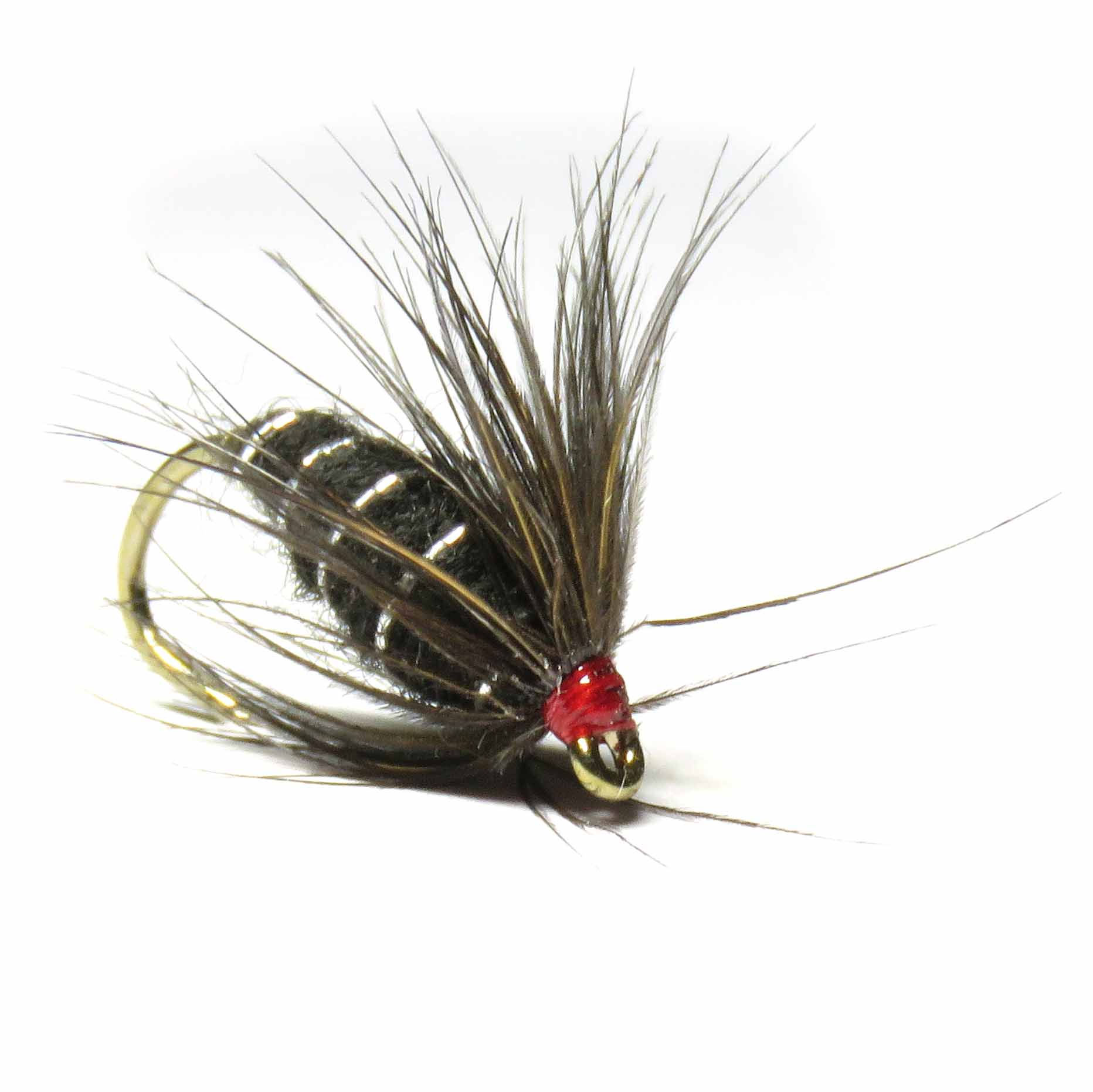 Kenya Bug - Red head*