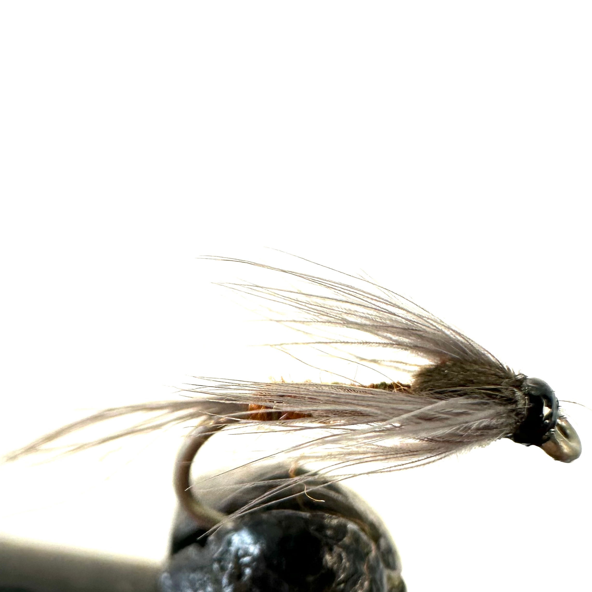 Cruncher - Black / Orange