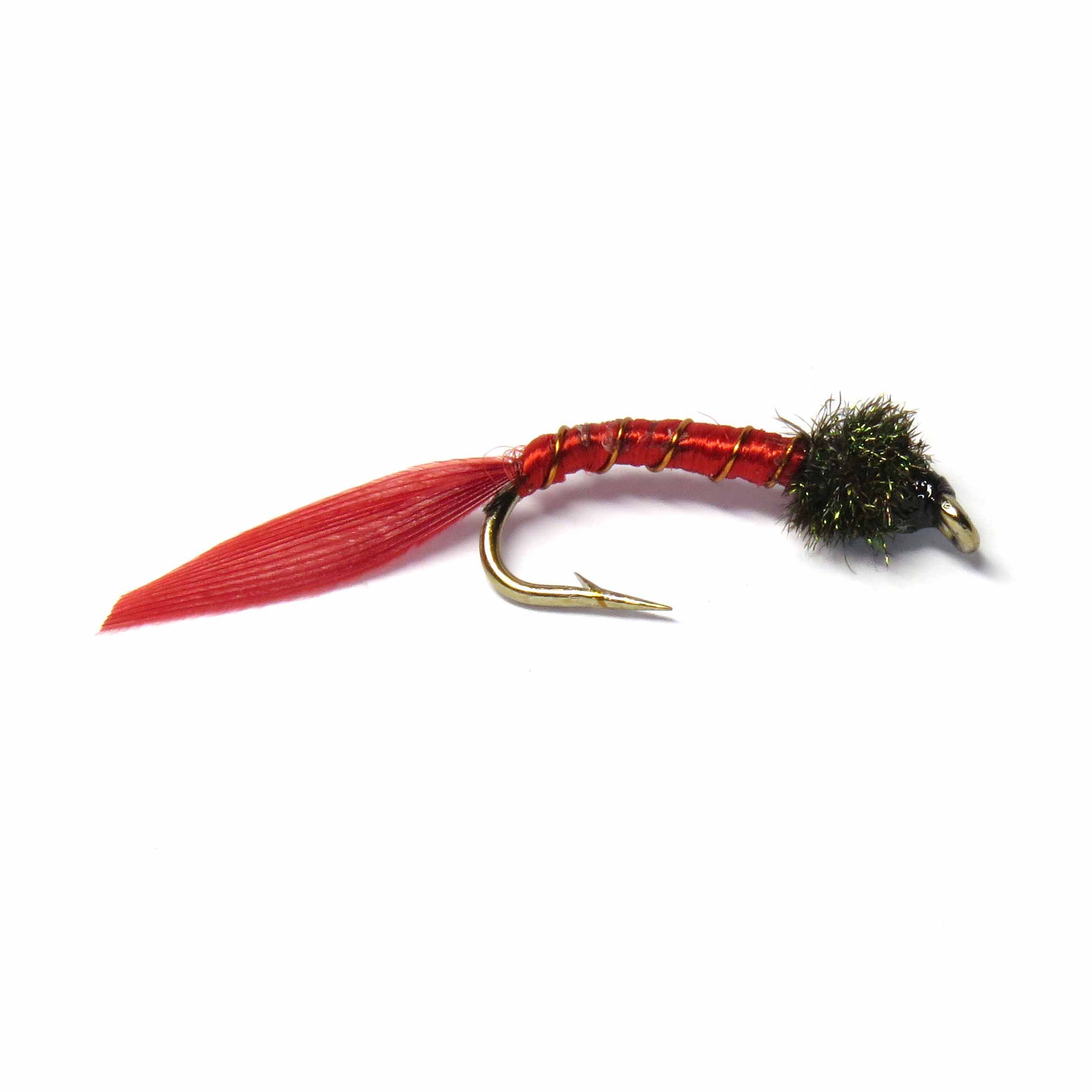 Bloodworm