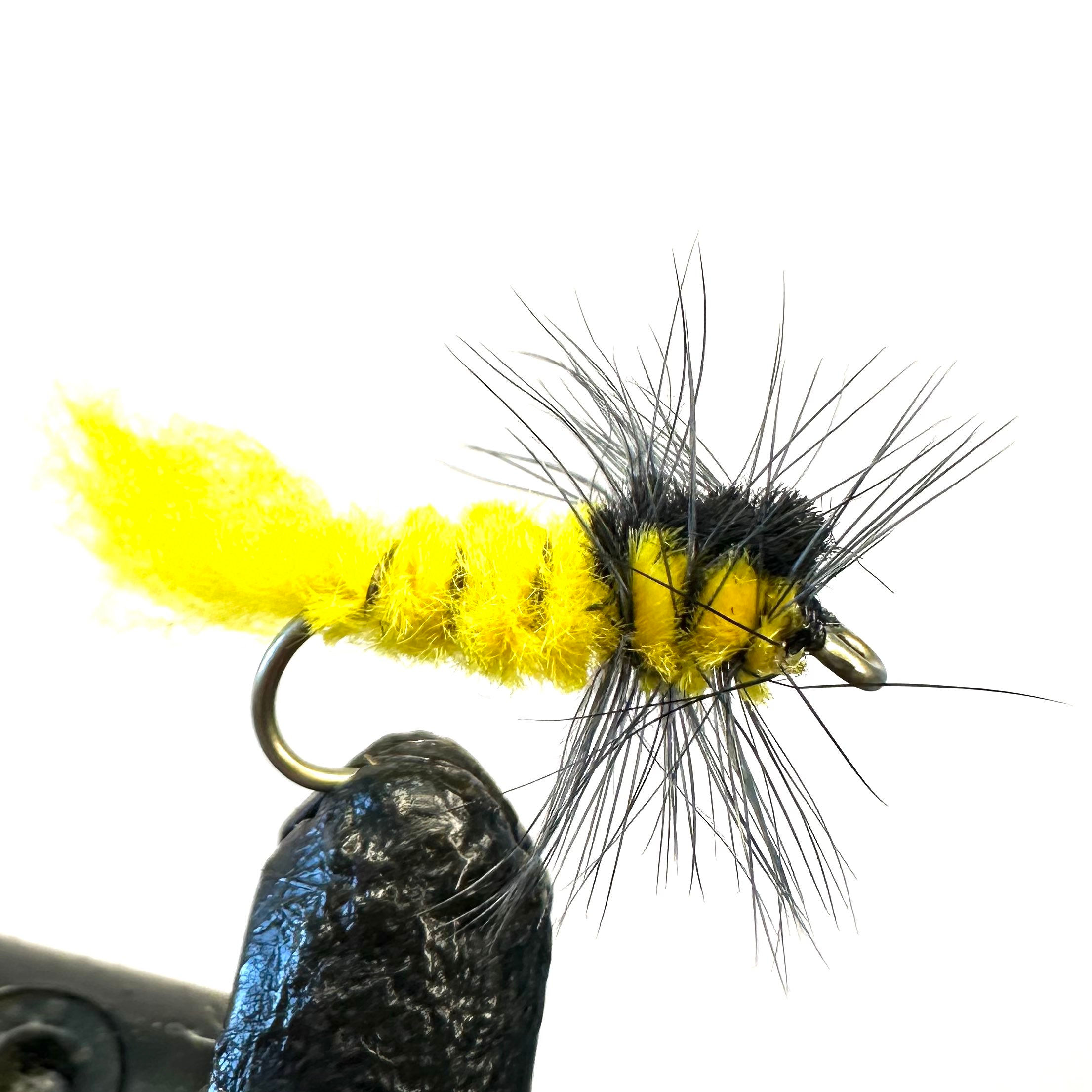 Montana Damsel Yellow