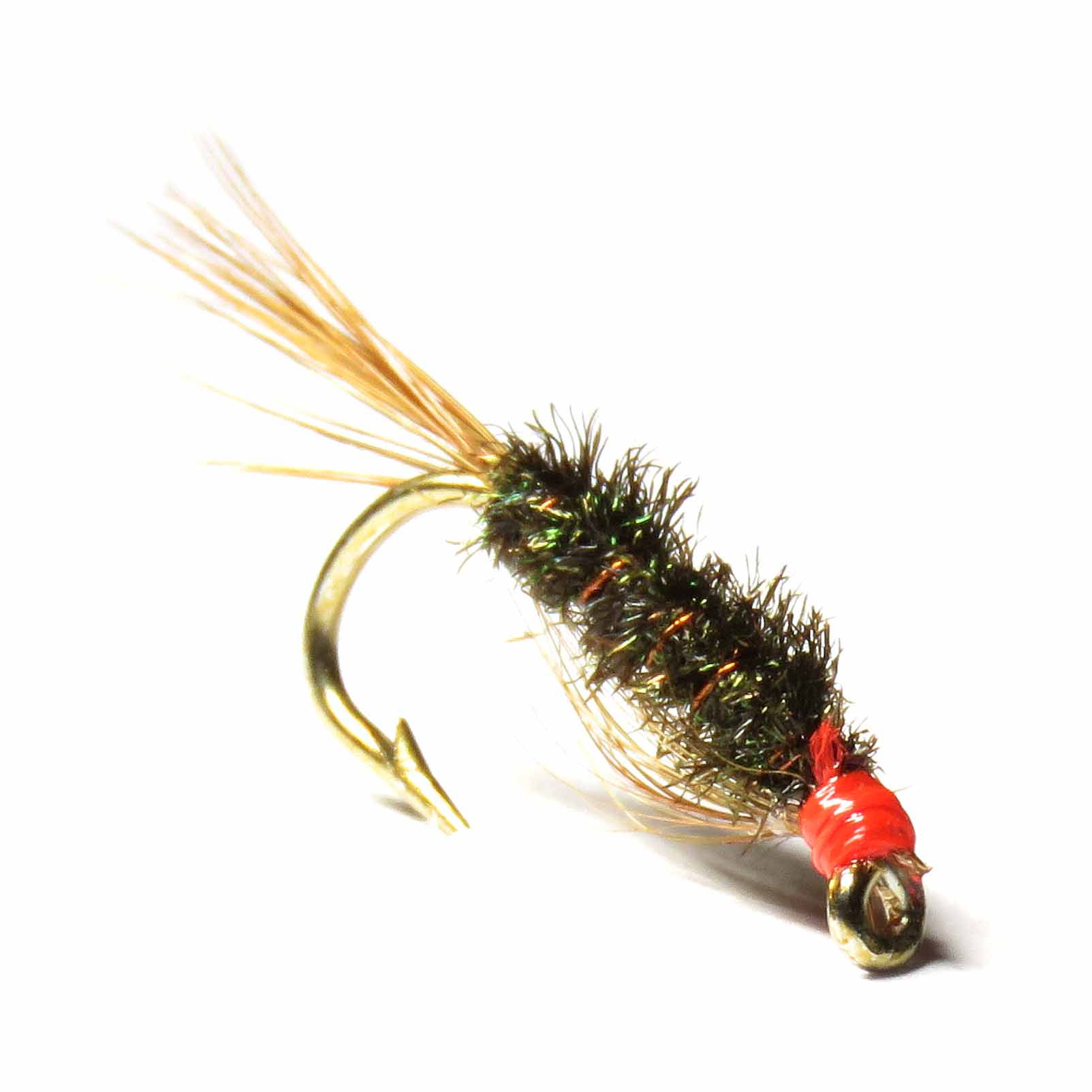 Diawl Bach - Hot Head