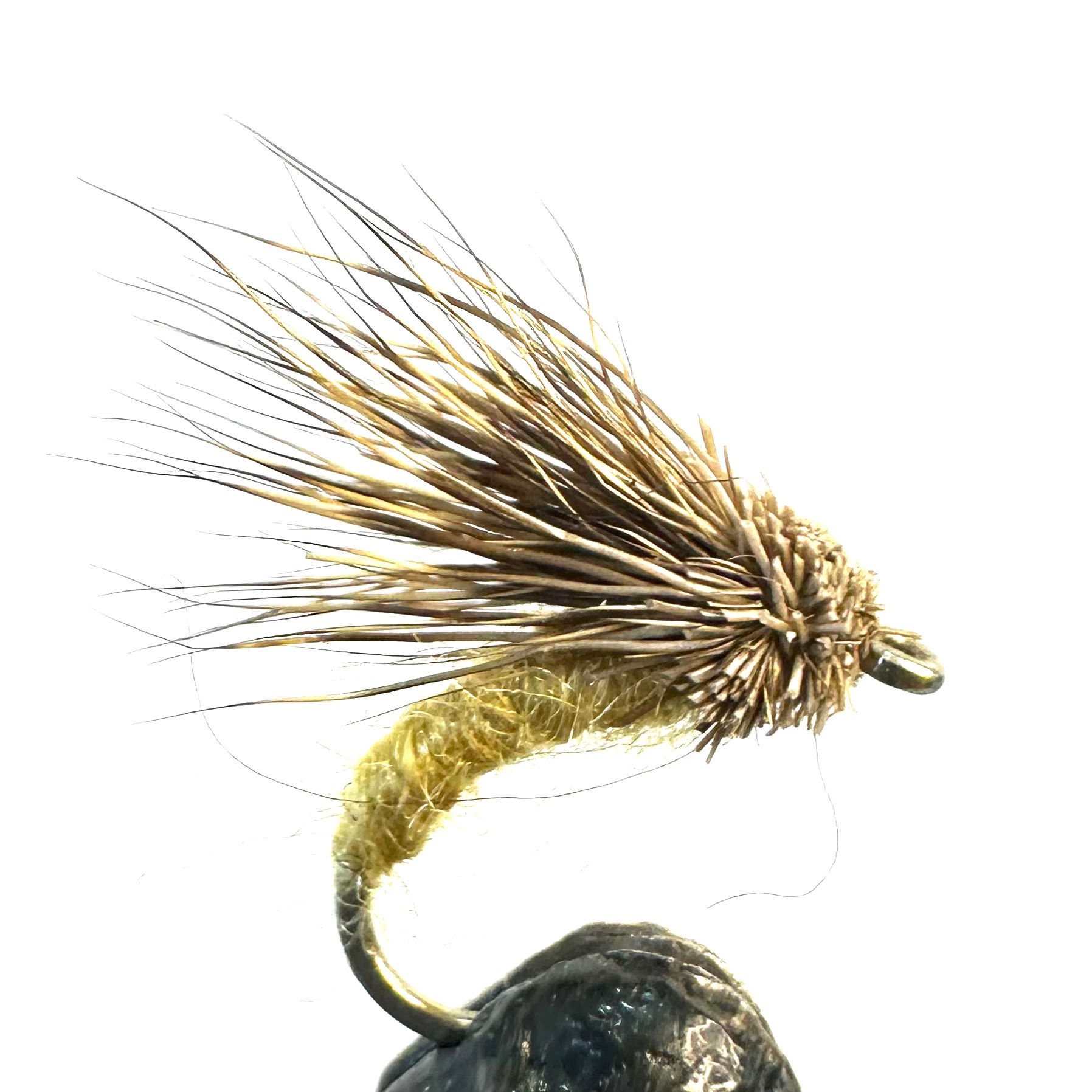 Caddis - Streaking Yellow