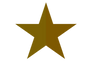 Star icon