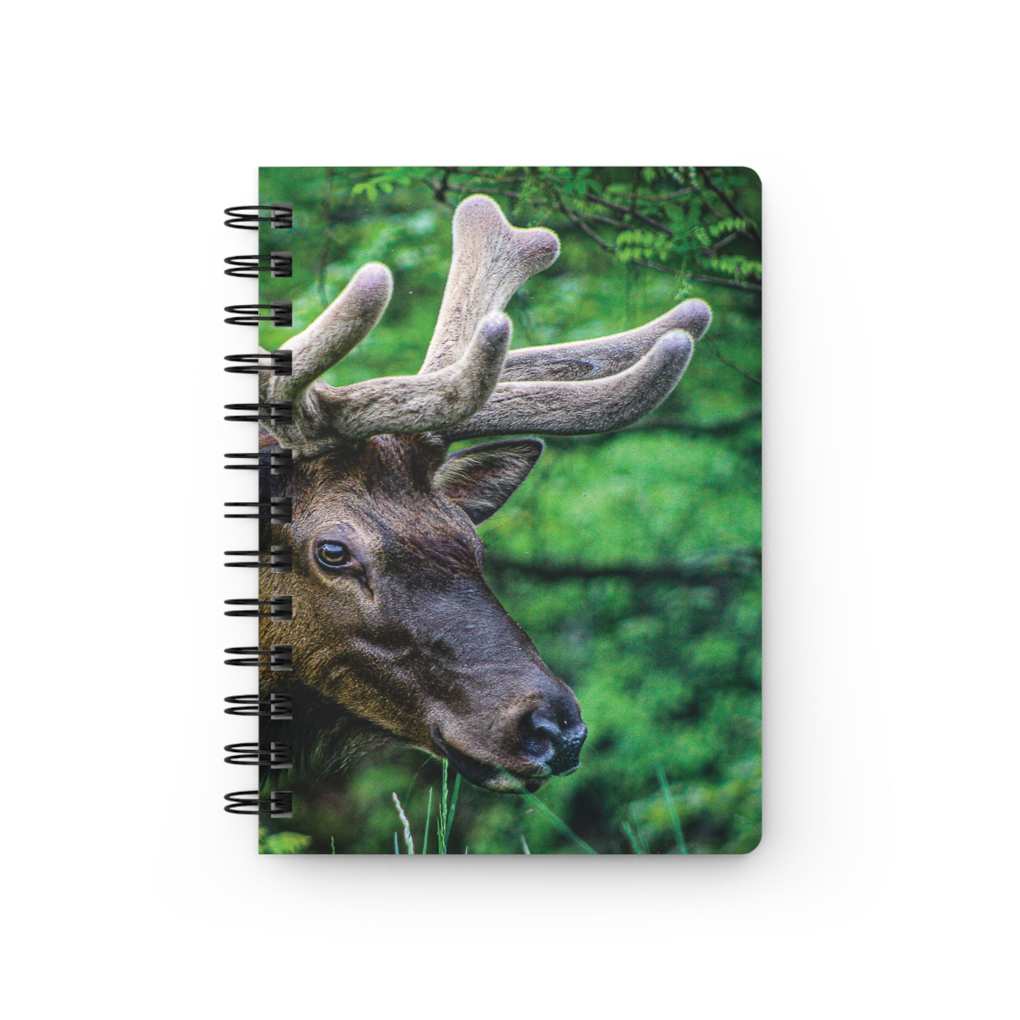 Elk Spiral Bound Journal