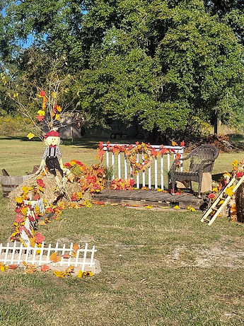 Fall photo op