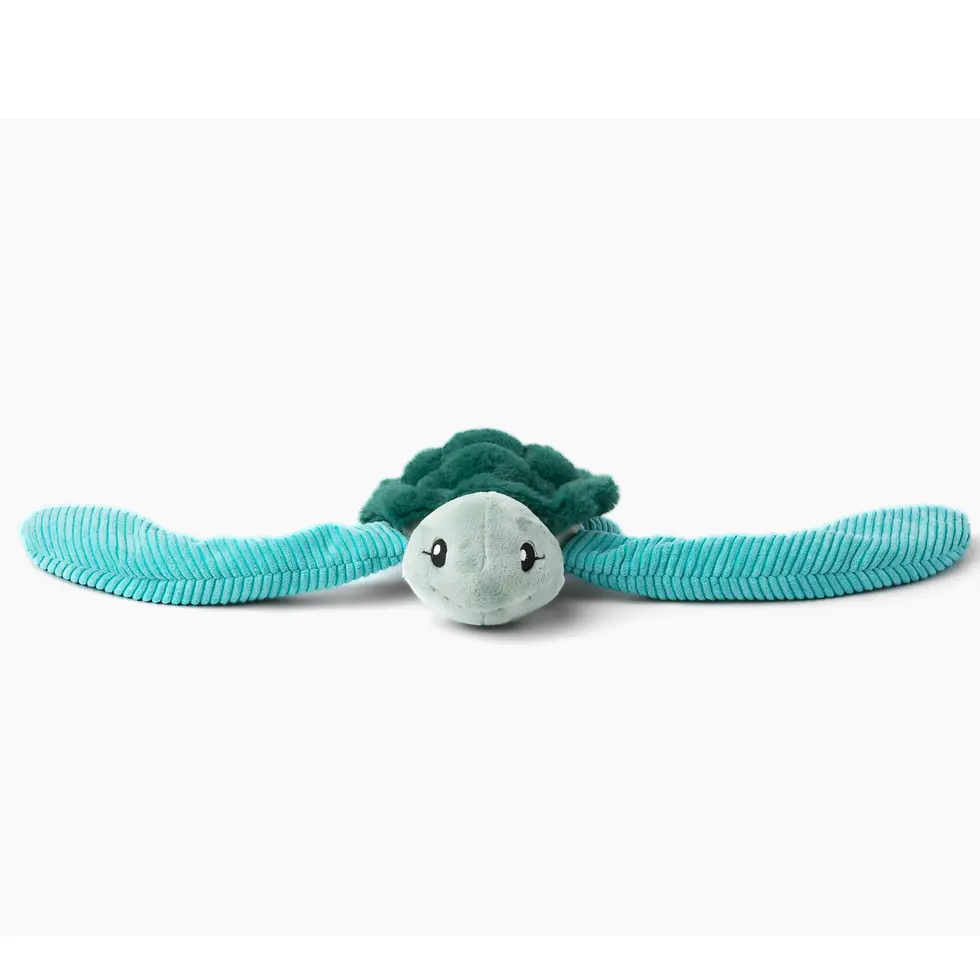 Thumbnail: Hugarounds: Sidney the Sea Turtle