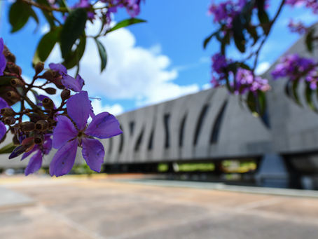 STJ e a Emenda Regimental 53/26: A Criação de um Novo Requisito de Admissibilidade Recursal e os Impactos na Prática Forense
