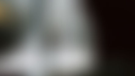 STF e o Princípio da Proporcionalidade e Razoabilidade no Direito Administrativo: Aplicações e Impactos