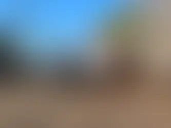 How to Win More Land Clearing Contracts in Texas