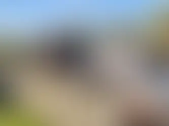 Do You Need a License or Certification to Operate an Equine Farm