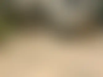 Top Concrete Crack Fillers for Epoxy Prep (Amazon Buyer’s Guide)