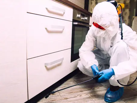 What Does SDE vs EBITDA Look Like for Pest Control Companies?