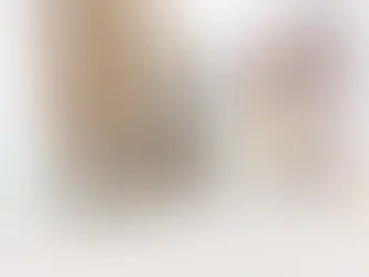 Best Step Ladders for Interior Painting Projects