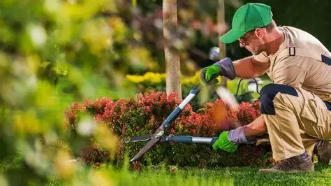 Landscaping Contractor