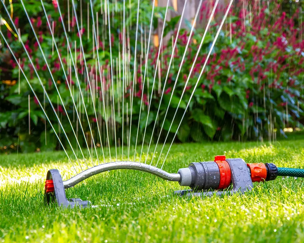 Lawn Irrigation