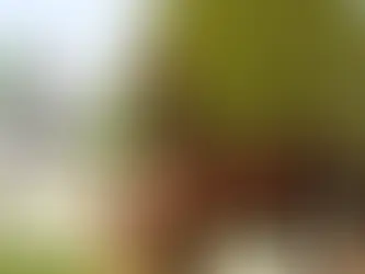 How to Price Your Equine Farm Services Profitably