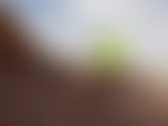 Must‑Have Tools for Roofing Contractors (Residential & Commercial)